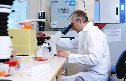Per Ola Karlsson professor och forskare i Uppsala har lyckats få inplanterade stamceller att producera insulin.